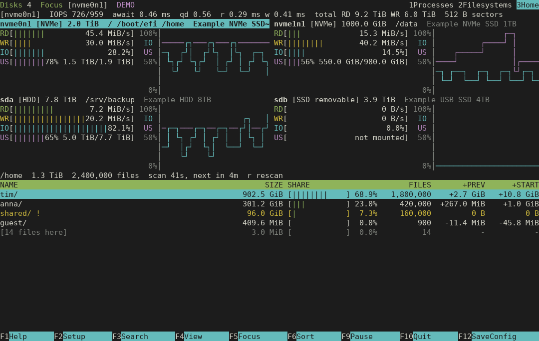 Actual Home view with directory sizes, share bars, file counts and growth since the previous and first scan